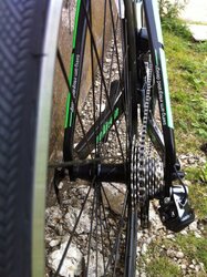 wilier3.JPG