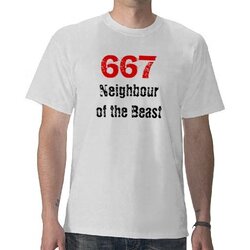 667_shirt-r3c56a0ce38cb401aa67613bc2fed2e30_f0czj_512.jpg