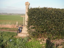 Rides. Towton Cross. 1.JPG