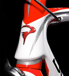 2010-pinarello-dogma-detail.jpg