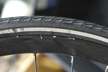 Freedom Disc rim damaged.jpg