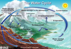 320px-Water_cycle.png