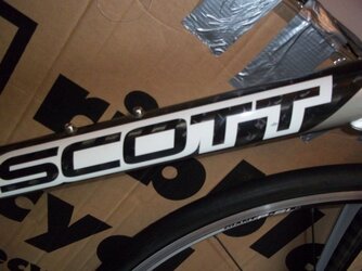 scott for sale 002.JPG