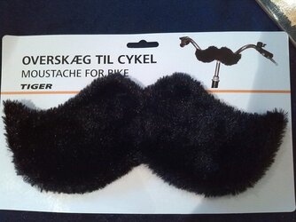 Bike Moustache 2.jpg