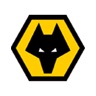 Wolverhampton-Wanderers.jpg