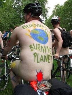 wnbr-pic_1.jpg