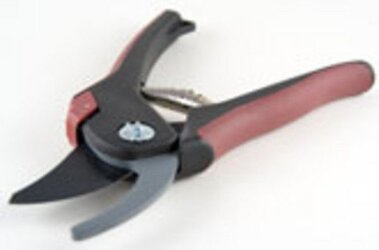 secateurs_600x.jpg