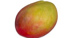 TV-MANGO-WHOLE.jpg