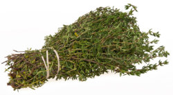 1200px-Thyme-Bundle.jpg