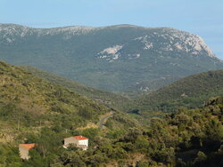 67 From the bike. garrigues scenery.jpg