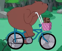 bear.png