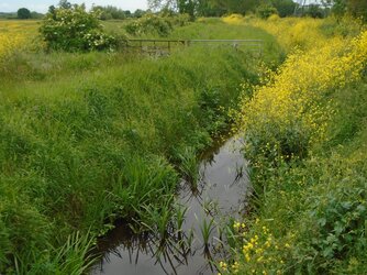 220523-7537 Olveston Moor Lane-Tockingham Mill Rhine-Stone Bridge-gate-sovereign.JPG