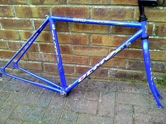 Olmo frame.jpg