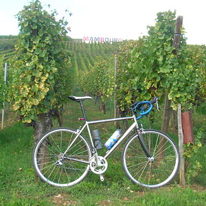 La Vigne et Le Velo, pt 2