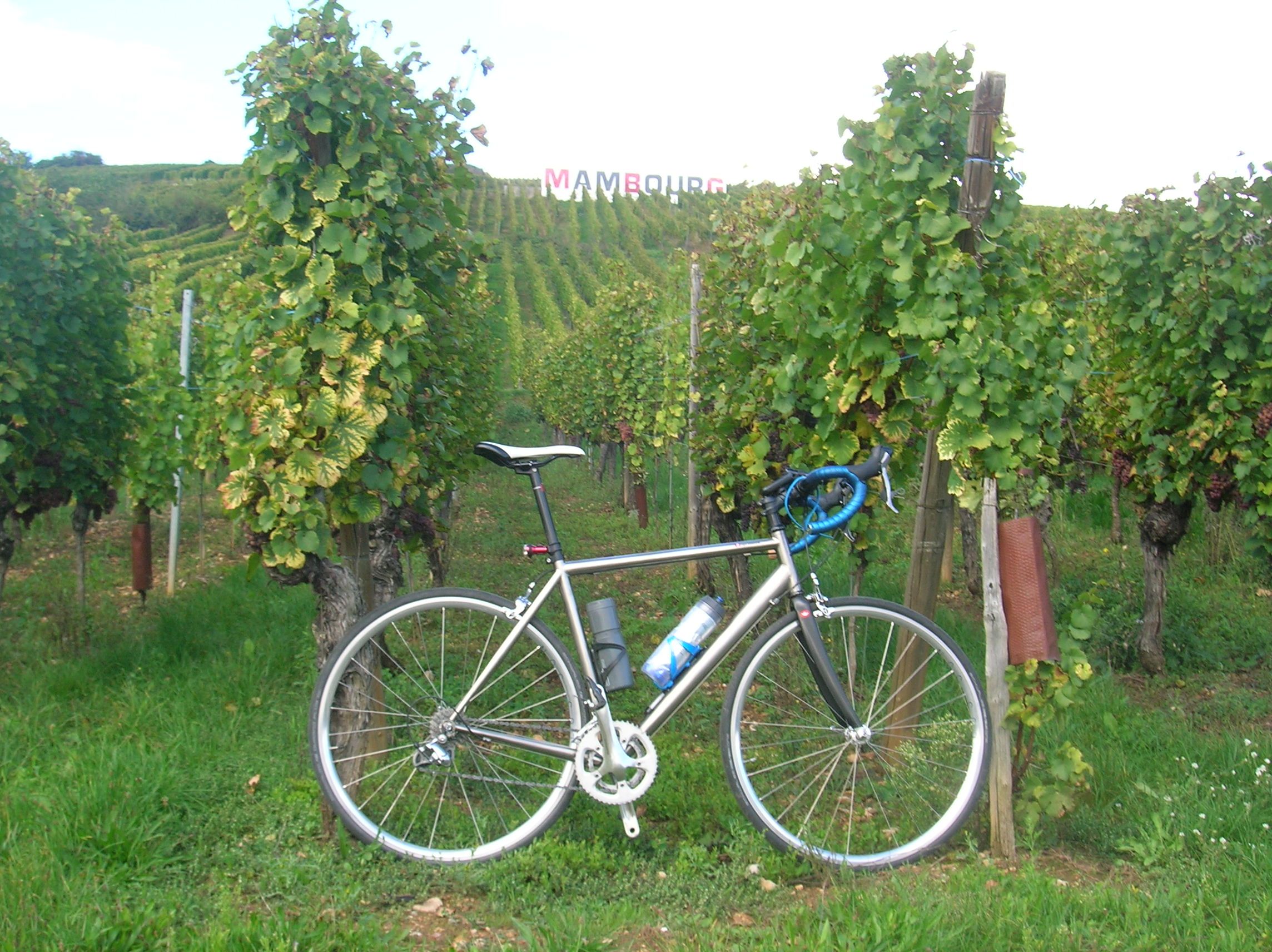 La Vigne et Le Velo, pt 2